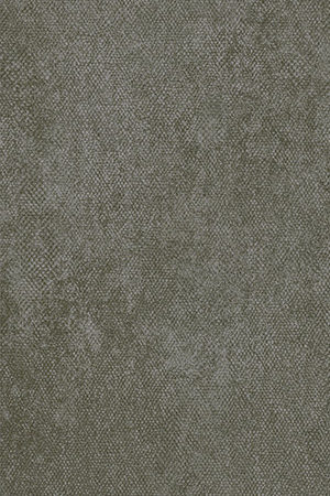 Camp Army Canvas Green