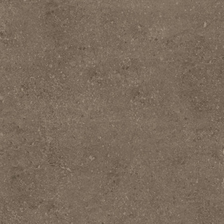 Noisette Belge NE 32