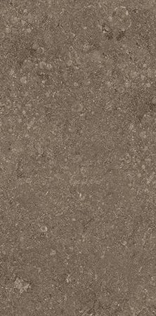 Noisette Belge NE 32