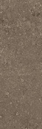 Noisette Belge NE 32