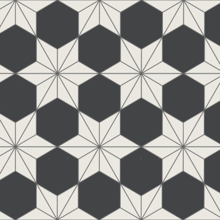 Triangles and Hexagons 1