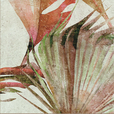 Amazonia Tropic Cotto